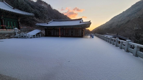 무제_0.jpg 이미지