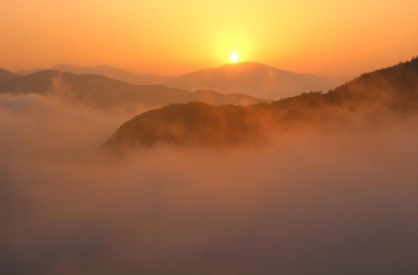 무제_0.jpg 이미지