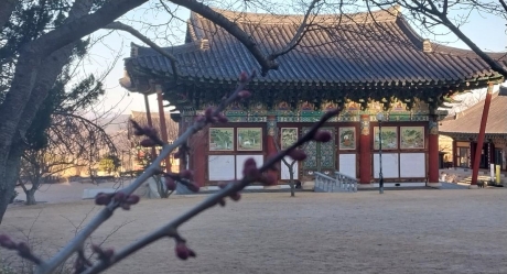 대웅전 뒤_1.jpg 이미지