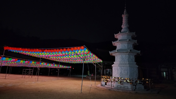 IMG_8483.JPG 이미지